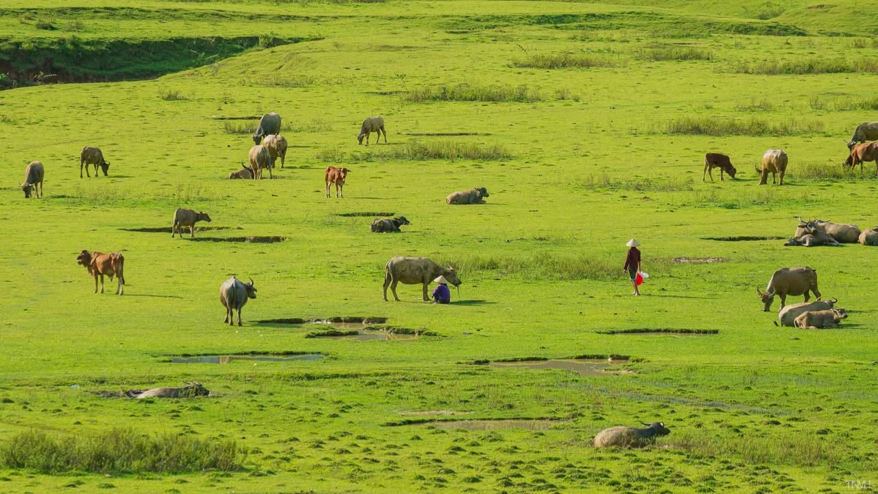 Đất nền Hòa Ninh Đà Nẵng 6257m² giá 9 tỷ - Sổ đỏ chính chủ