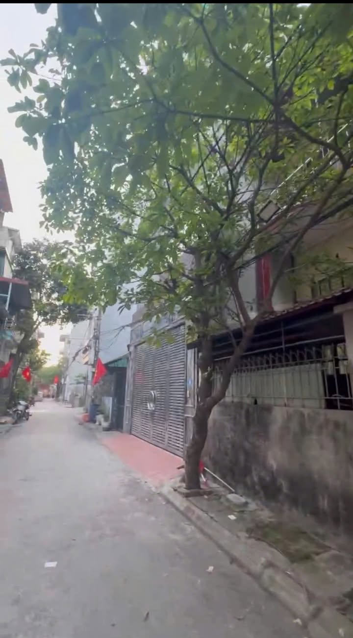 Đất phân lô ngõ 2 Giang Biên, 75m² giá 16.5 tỷ - Hướng Nam thoáng mát!