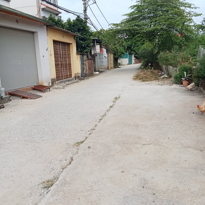 Đất nền Mai Lâm, Đông Anh 60m² giá 3.7 tỷ - Đầu tư sinh lời ngay!