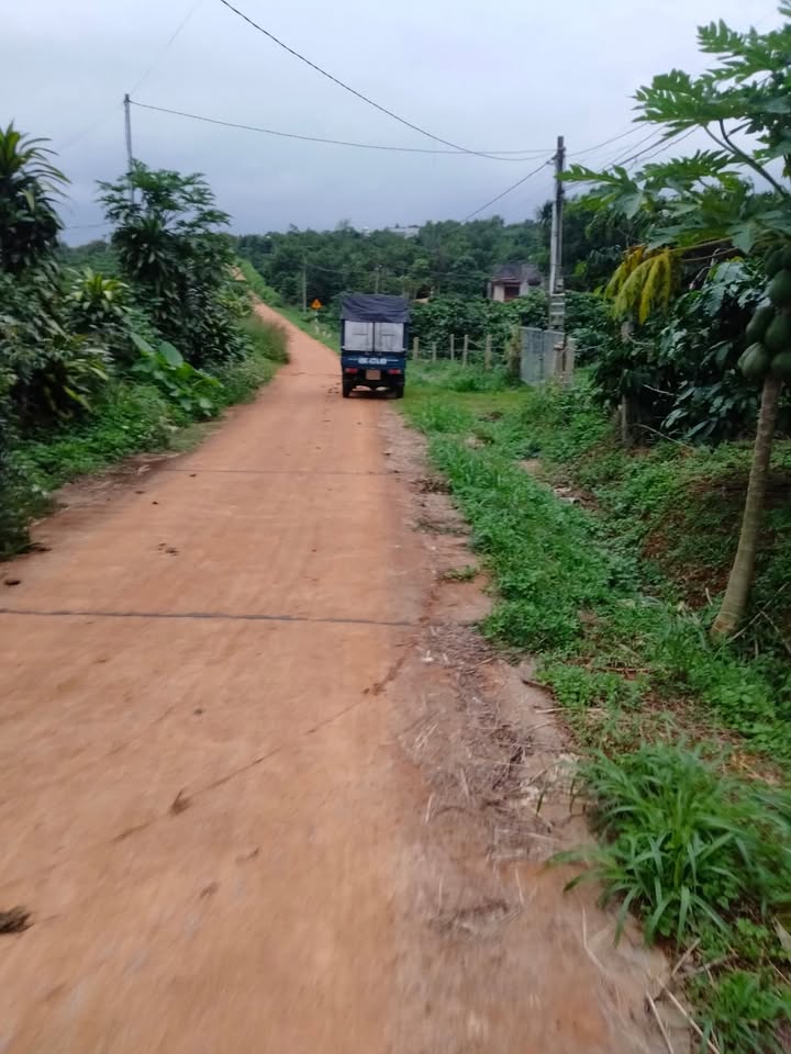 Đất nền Liên Hà 15.000m² giá 7,2 tỷ - Mặt đường bê tông chính, chính chủ bán!