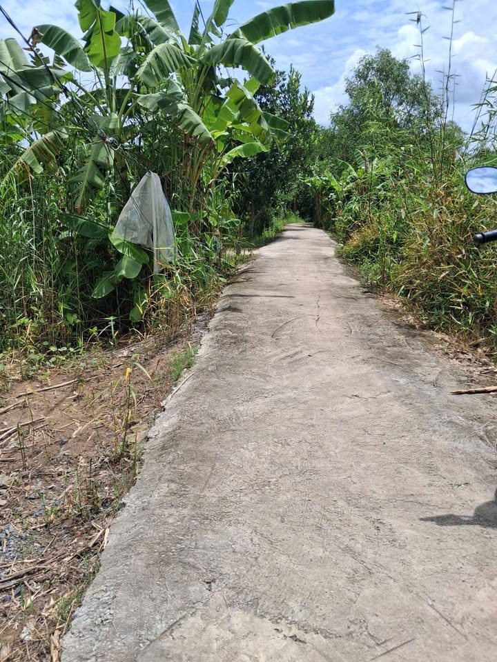 Đất nông nghiệp 2500m² xã Tân Hạnh, Long Hồ, Vĩnh Long - Giá chỉ 670 triệu, thuận tiện đầu tư!