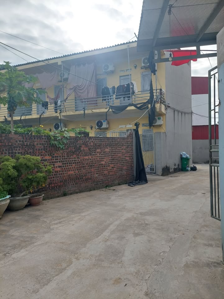 Đất thổ cư Yên Ninh Nếnh 143.7m² giá chỉ 3 tỷ - Cơ hội đầu tư sinh lợi!