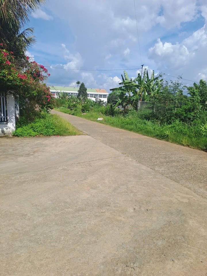 Đất nền Ea Đar 2820m² giá 100 triệu - Vị trí đắc địa gần trường học!