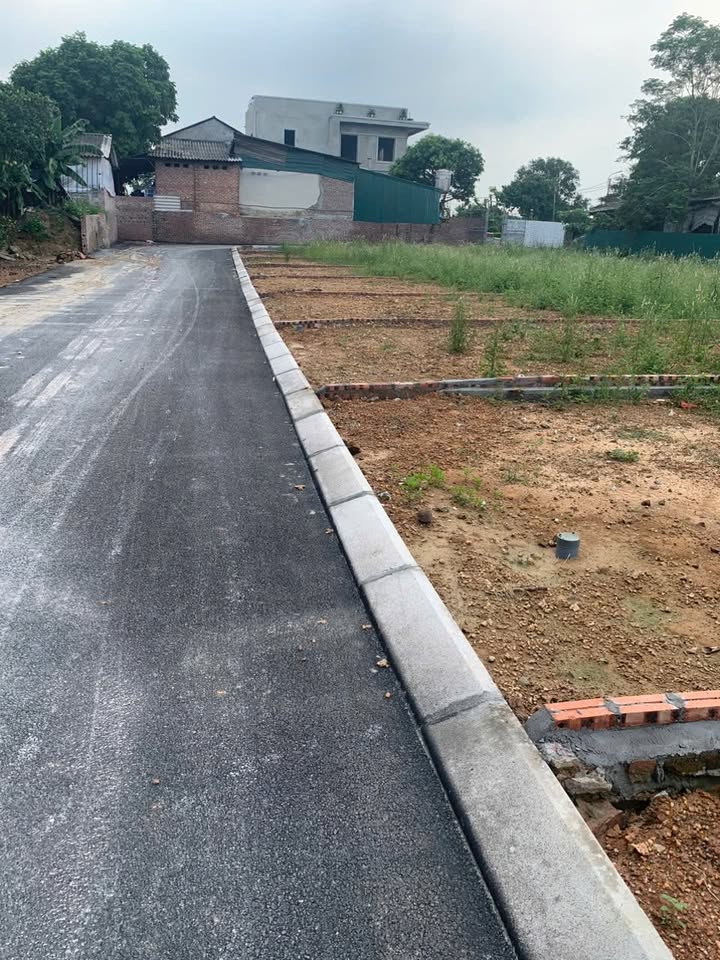 Đất nền Đạo Tú, Tam Dương 110m² - Cơ hội đầu tư sinh lời cao!