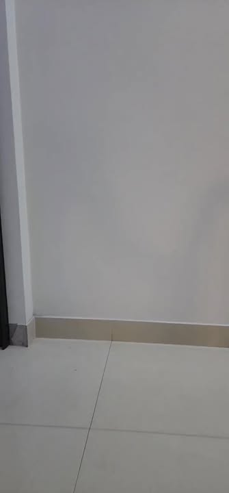 Nhà nguyên căn cho thuê mặt phố Lý Bôn 100m² - Thiết kế hiện đại, giá thỏa thuận!