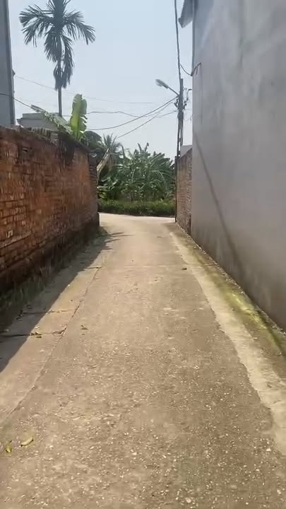 Đất thổ cư Phù Linh Sóc Sơn 65.5m² - Ô tô vào tận cửa, giá thỏa thuận!