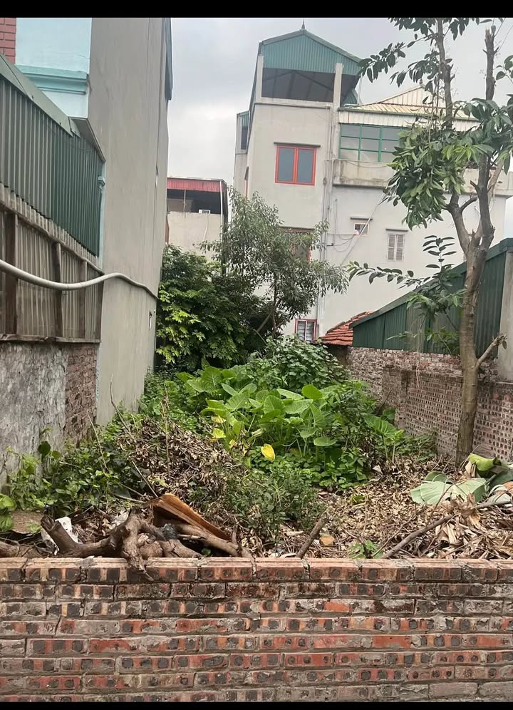 Đất nền Trâu Quỳ Gia Lâm 34m² giá 4.4 tỷ - Giao thông thuận lợi