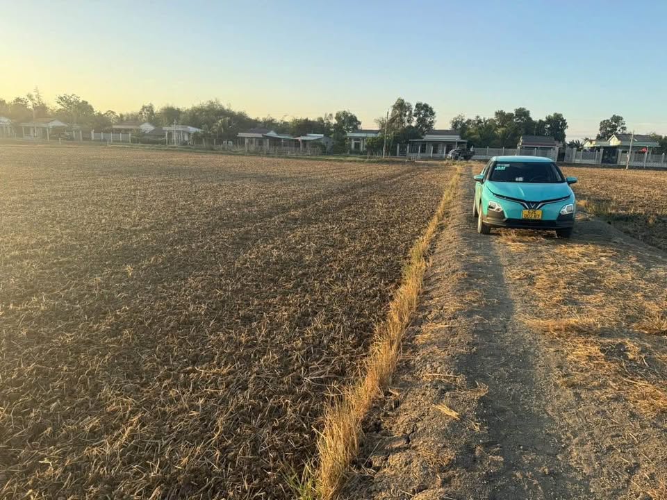 Đất ruộng Bình Lãng, Tân Trụ 7357m² giá 4.414 tỷ - Đầu tư sinh lời lý tưởng!