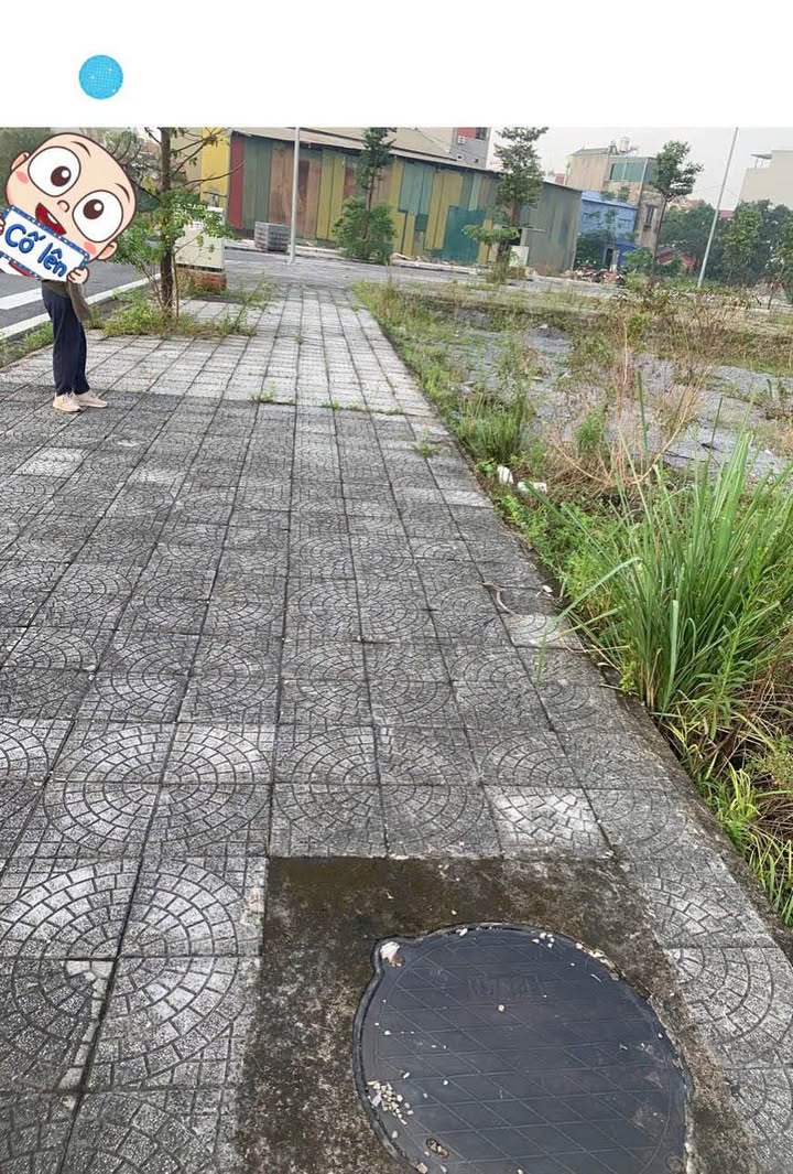 Đất nền Hanopark 2 LK6, Duy Tiên, 100m² giá 3.1 tỷ - Sổ đỏ chính chủ ngay!