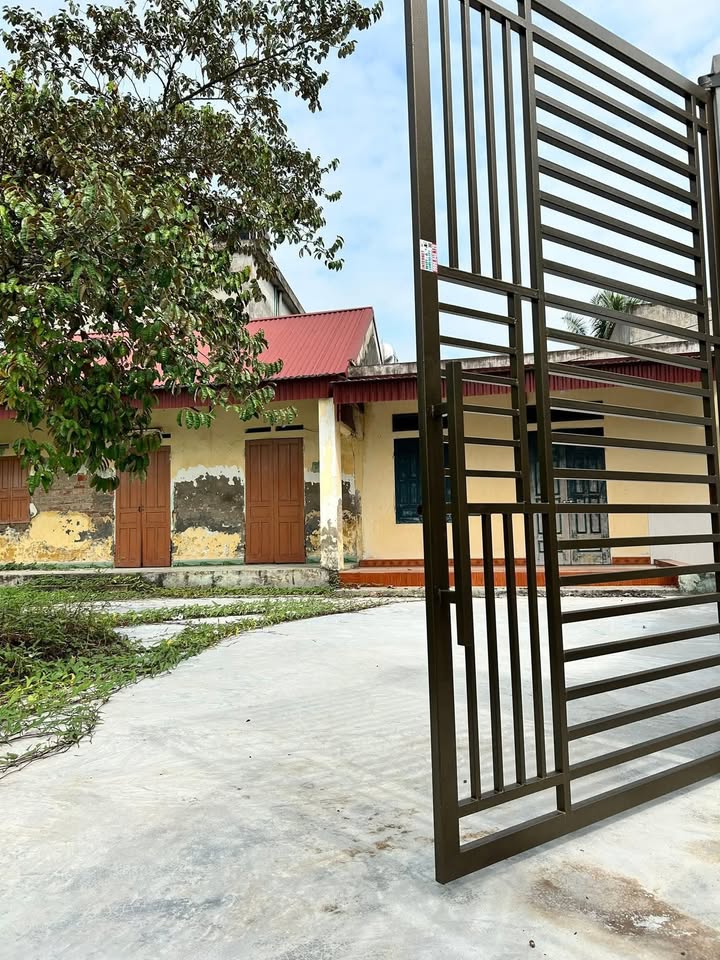 Đất nền Vĩnh Hòa Ninh Giang 321m² giá 1 tỷ - Cơ hội đầu tư hấp dẫn!