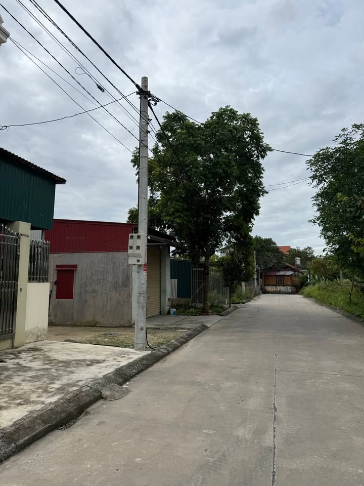 Đất nền Tân Kỳ, Tứ Kỳ, Hải Dương 100m² - Đầu tư dễ dàng!