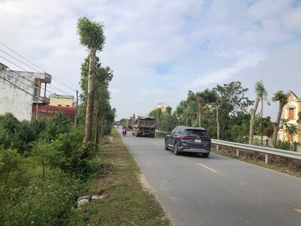 Đất thổ cư mặt đường TL 393, Phạm Trấn, Gia Lộc 100m² - Kinh doanh thuận lợi!