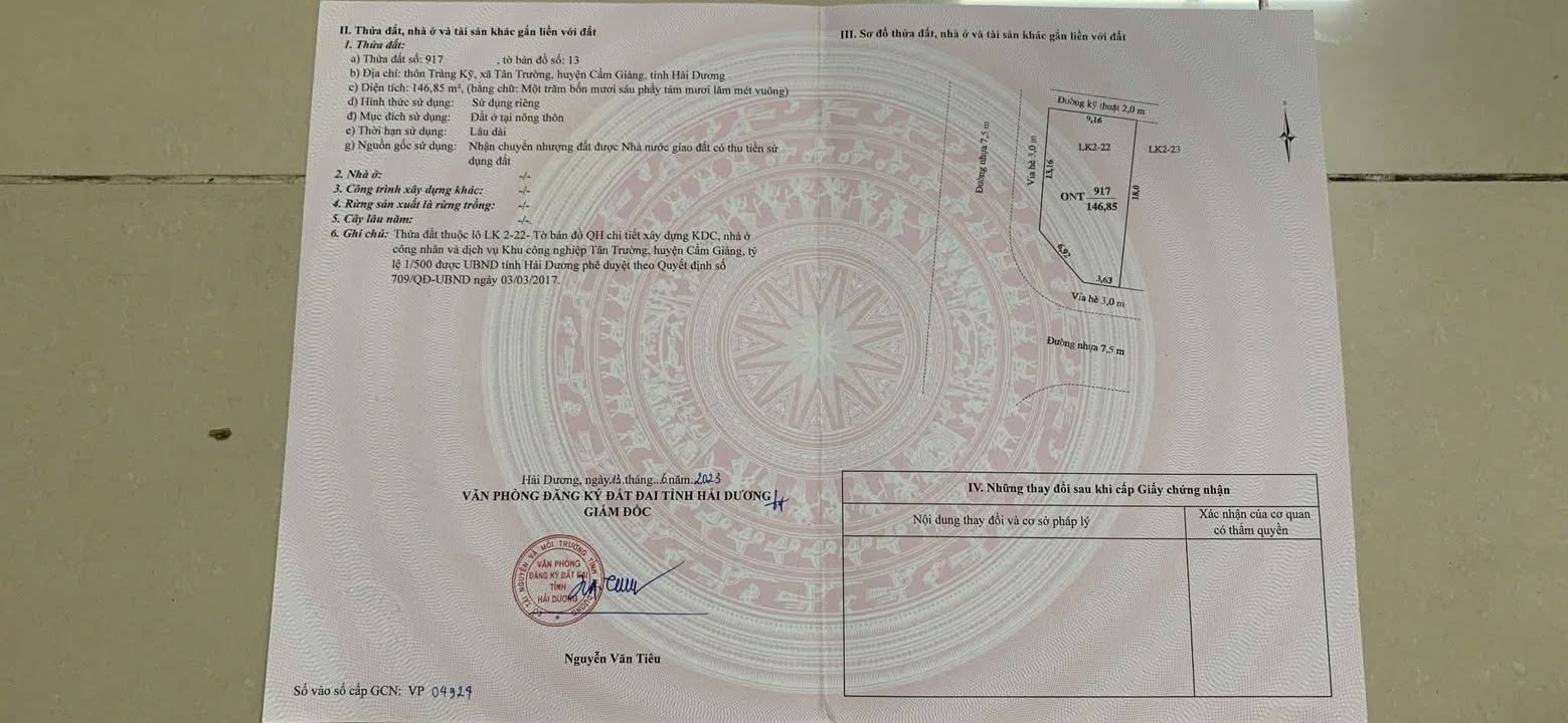 Đất nền KĐT Tân Trường, Hải Dương 146m² - Vị trí đắc địa, giá đầu tư hấp dẫn!