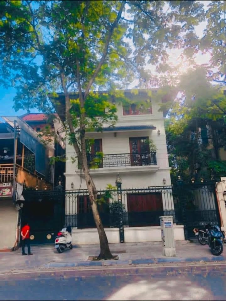 Biệt thự sân vườn cho thuê tại Ngô Thì Nhậm 283m² - Không gian lý tưởng cho doanh nghiệp!