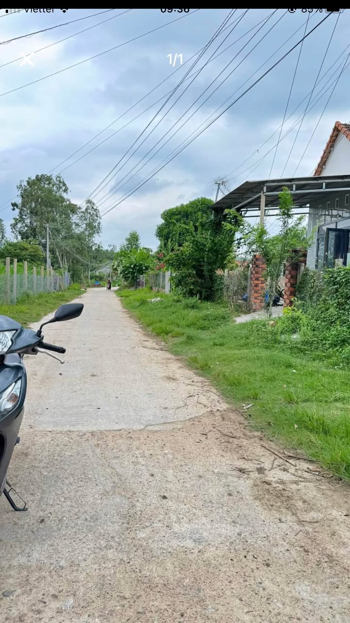 Đất nền 3000m² mặt tiền 65m tại Bình Khê - Giá chỉ 7xx triệu, đầu tư sinh lời!