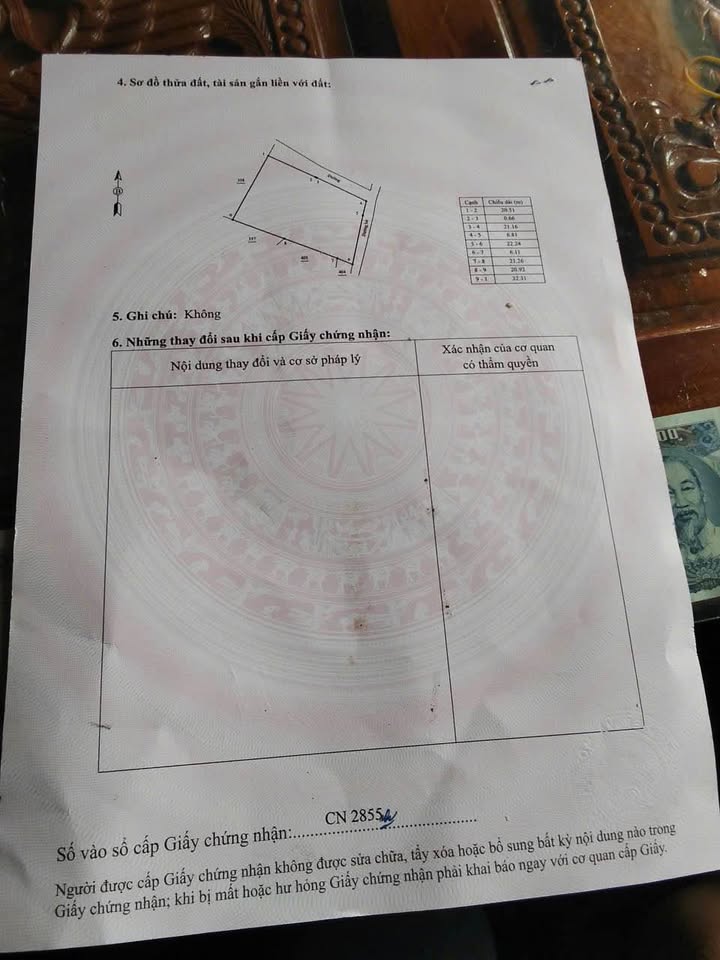 Đất vườn 1400m² Cát Trinh - Phù Cát chỉ từ 100 triệu - Đầu tư sinh lời ngay!