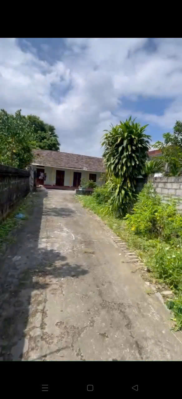 Trang trại 1600m² tại xã Cự Đồng, Phú Thọ - Giá chỉ từ 2 tỷ!