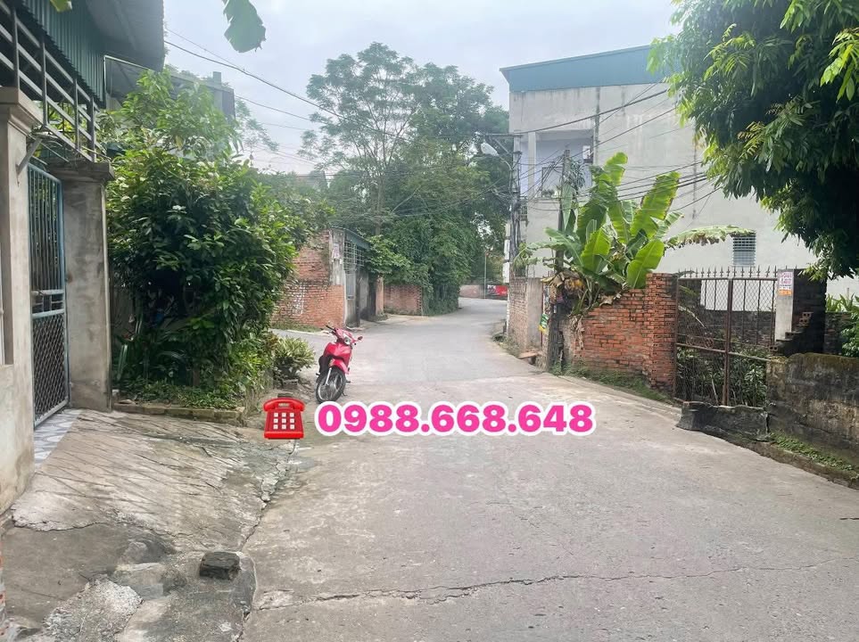 Đất nền Minh Phương, Việt Trì 111m² giá 1 tỷ - Đầu tư sinh lời ngay!