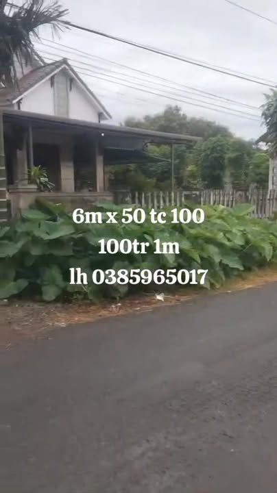 Đất nền Ea Nam 300m² giá 600 triệu - Đầu tư sinh lời ngay!