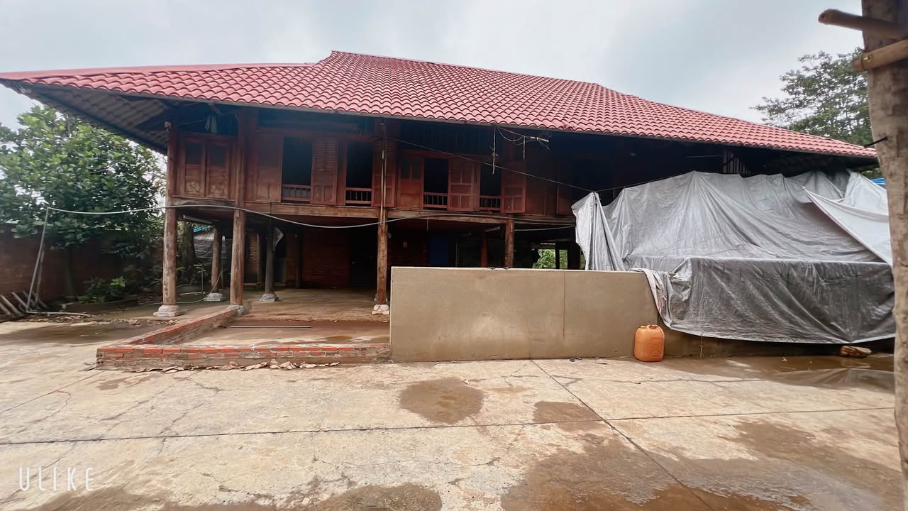 Đất An Viễn, Trảng Bom 2030m² - Mặt tiền đường, giá tốt cho nhà đầu tư!