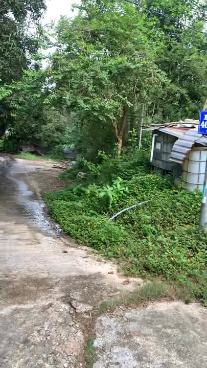 Đất rẫy vườn ươm tại Quang Trung, Quy Nhơn 1750m² - Giá thỏa thuận, cơ hội đầu tư hấp dẫn!