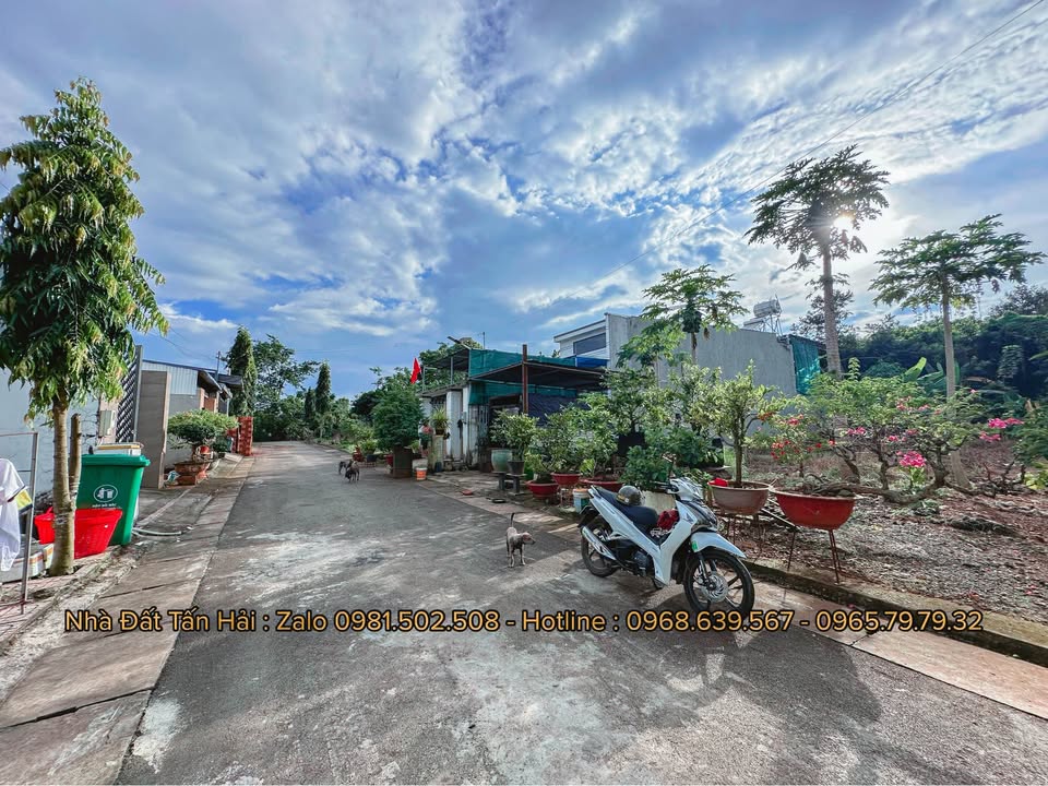 Đất nền mặt tiền đường nhựa Khu Khang Thịnh 165m² giá 1.25 tỷ - Tiềm năng kinh doanh lớn!