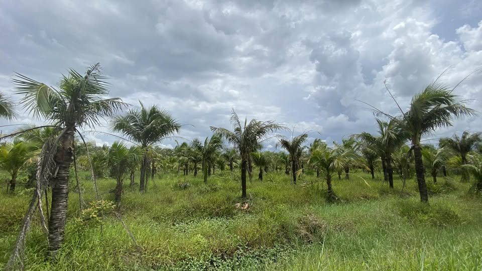 Đất nền Hữu Định, Châu Thành, Bến Tre 500m² giá 500 triệu - Đầu tư lý tưởng!