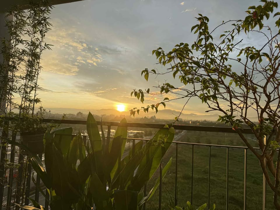 Căn hộ FPT Plaza Đà Nẵng 2PN giá 11 triệu - Full nội thất đẹp, sẵn sàng vào ở!