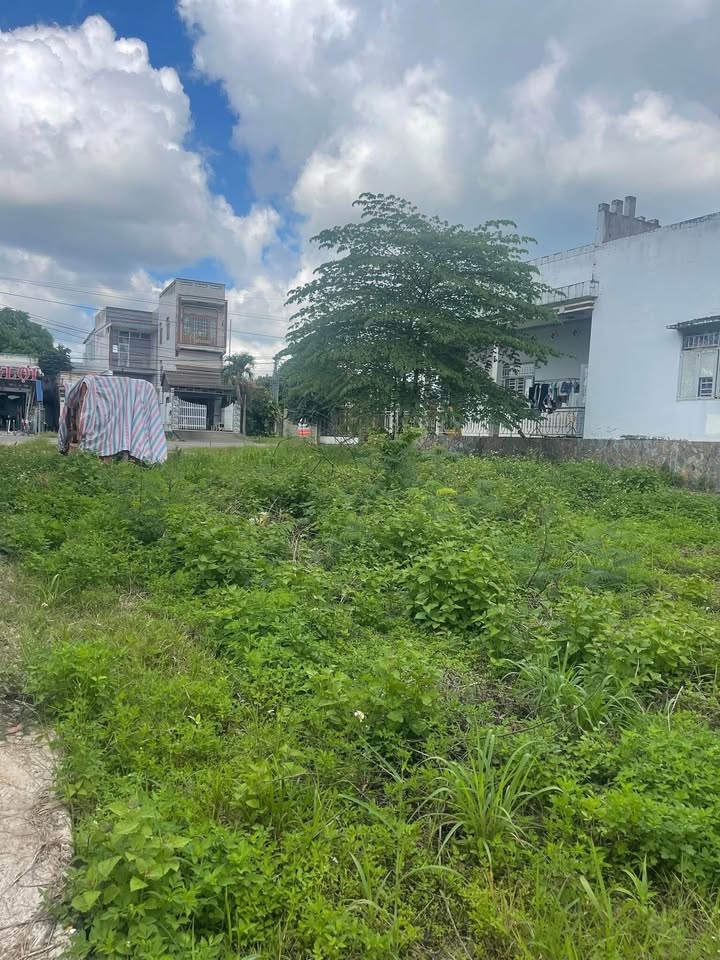 Đất thổ cư mặt tiền Nhựa Trà Cổ 130m² giá 1.26 tỷ - Sổ hồng chính chủ