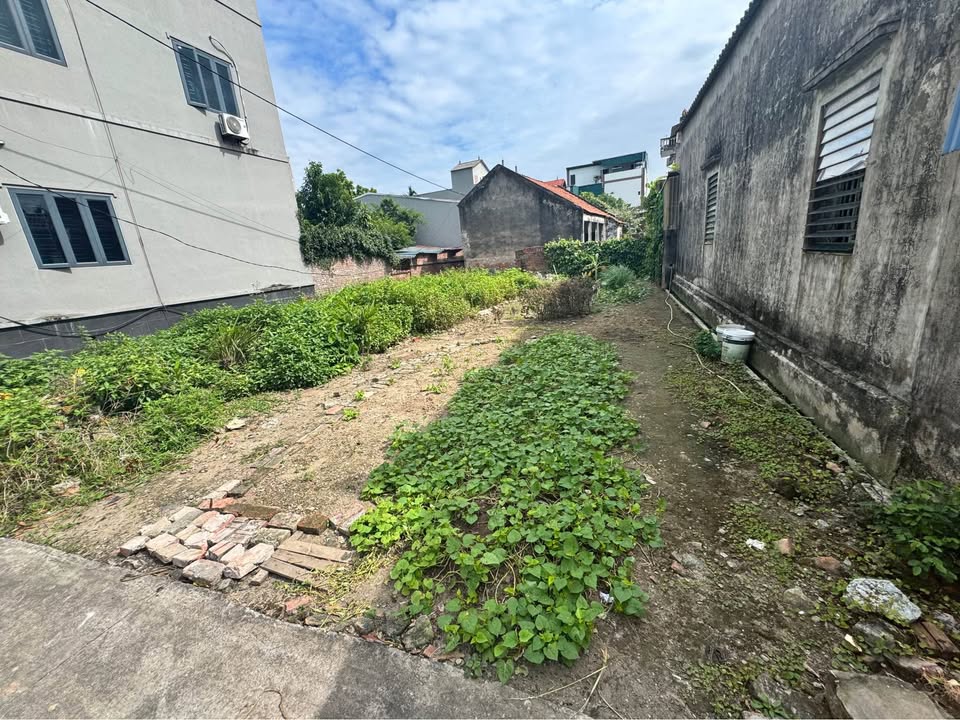 Lô đất 76m² tại Đông Mai, Văn Lâm, Hưng Yên - Giá chỉ 2 tỷ, cơ hội đầu tư tuyệt vời!