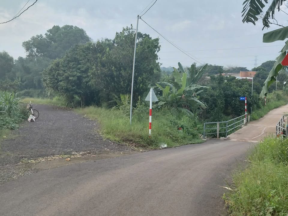 Đất trồng cây hàng năm 16.311m² tại Bàu Cạn, Long Thành, Đồng Nai - Giá chỉ 19.9 tỷ!