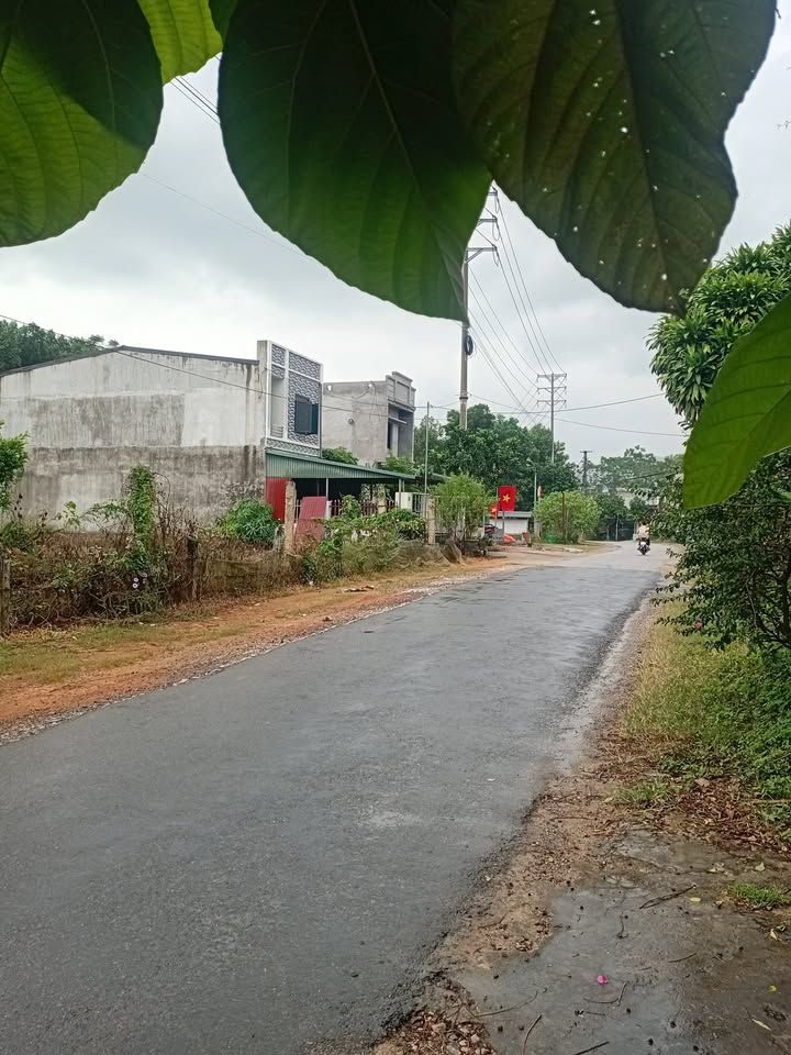 Nhà mái bằng TDP Kim Phú 100m² giá 1xxx - Cơ hội sở hữu chính chủ!