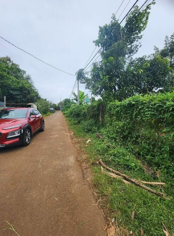 Đất cà phê 600m² tại Ea Trul, Krông Bông, Đắk Lắk - Giá chỉ 17.22 tỷ