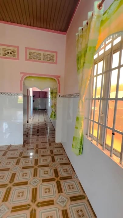 Đất nền Hòa Hiệp Tân Biên 196m² giá 350 triệu - Cơ hội đầu tư hấp dẫn!