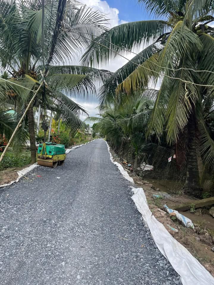 Đất nền đẹp Long Hòa A, Đạo Thạnh, Mỹ Tho 100m² - Đầu tư sinh lời ngay!