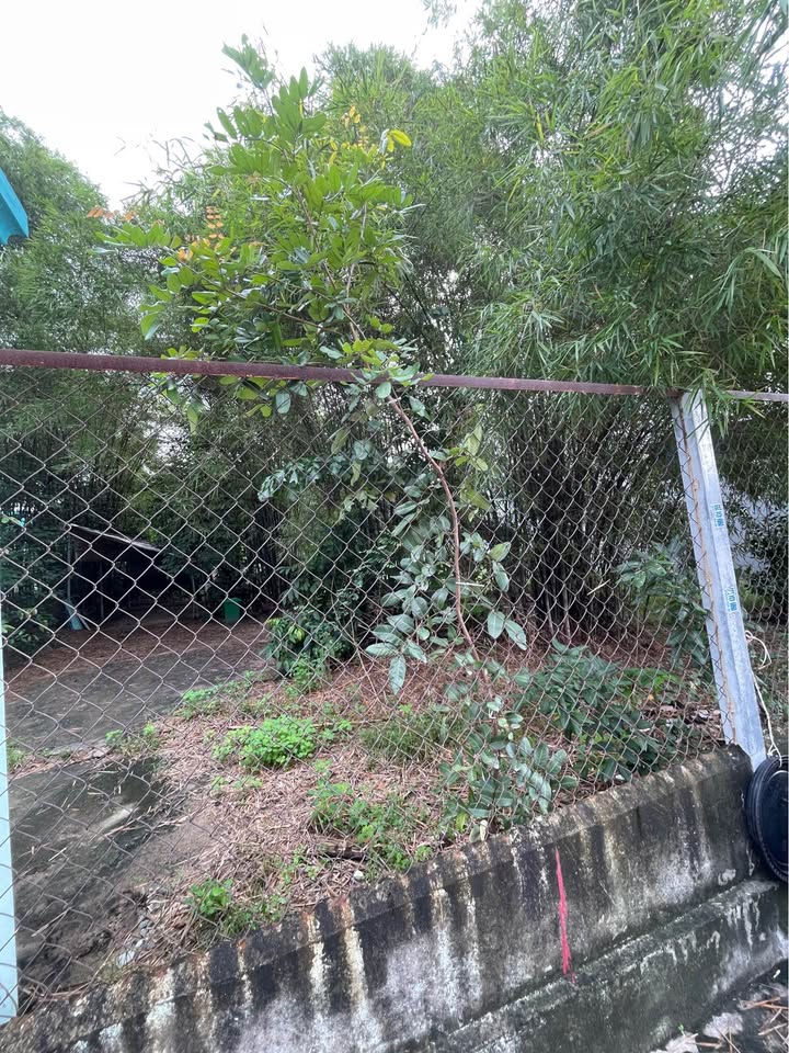 Đất nền Thủ Đức - Làng Tăng Phú 117m² giá chỉ 6.5 tỷ - Đầu tư sinh lời ngay!