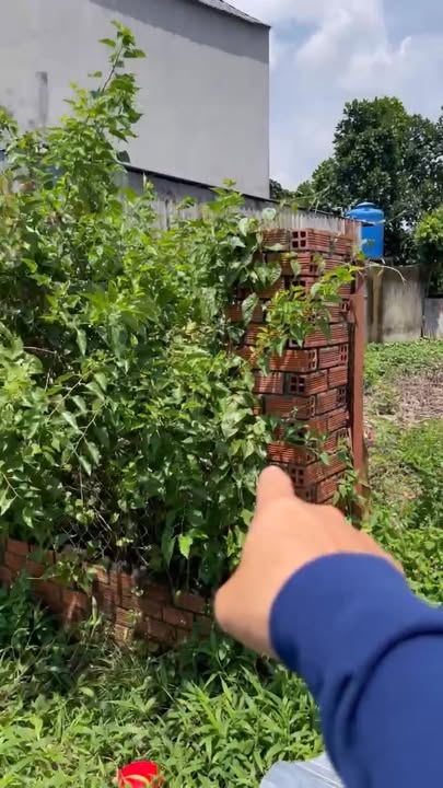 Đất thổ cư Bến Cát 100m² giá 1.2 tỷ - Đường nhựa, dân cư đông đúc!