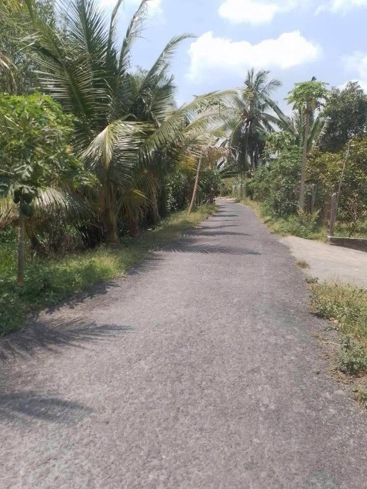 Đất nền Phú Hựu Châu Thành 750m² giá 850 triệu - Pháp lý rõ ràng, tiện lợi cho đầu tư!