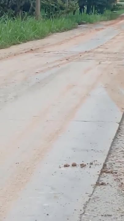 Đất nền Ea Păl, Ea Kar, Đắk Lắk 7,7 sào giá 800 triệu - Cơ hội đầu tư hấp dẫn!