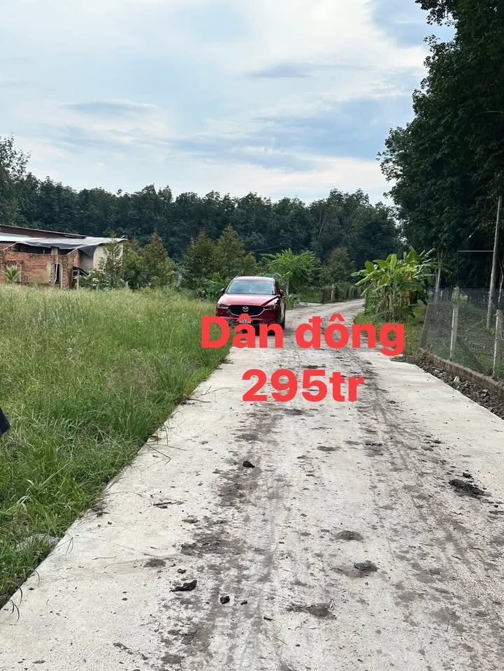 Đất nền Minh Lập Chơn Thành 265m² giá chỉ 295 triệu - Cơ hội đầu tư tuyệt vời!