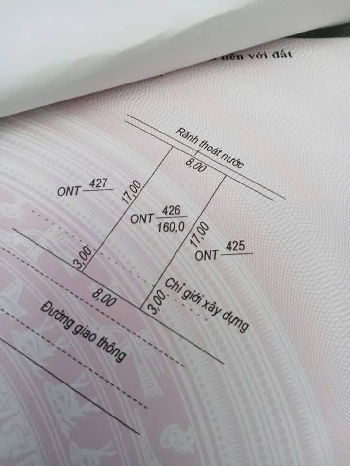 Đất ở Bắc Trạch 160m² giá 1.3 tỷ - Hướng Nam tài lộc, vị trí đẹp