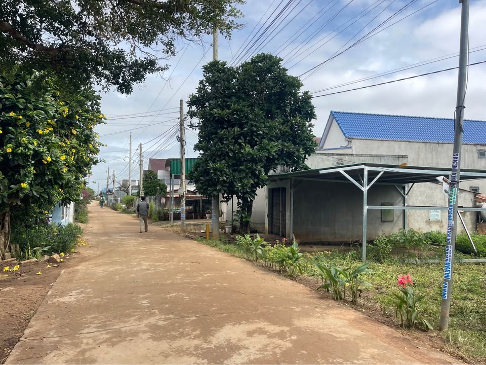 Lô đất đẹp tại Phú Hội, Đức Trọng 305m² giá 2.3 tỷ - Đầu tư sinh lời ngay!