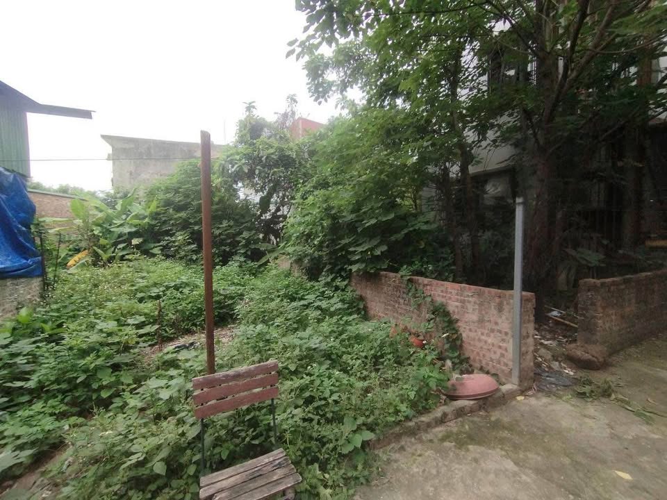 Đất Phúc Lợi Long Biên 60m² giá 7 tỷ - Mặt tiền 6m, ô tô đỗ cửa!