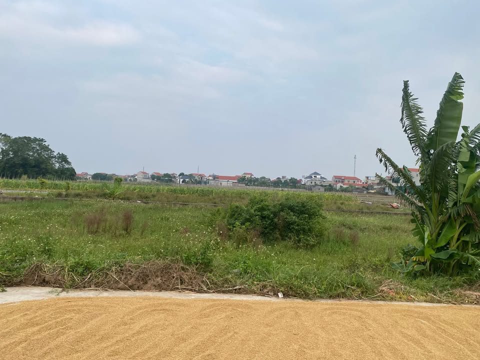 Đất nền xã Khánh Hồng, Yên Khánh 110m² - Giá thỏa thuận, đường rộng ô tô tránh nhau!