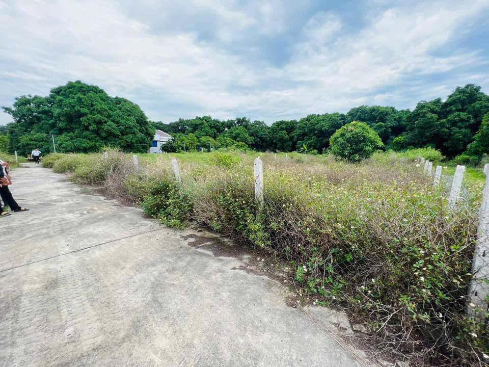 Đất thổ cư Cam Hải Tây 299m² giá chỉ 2.392 tỷ - Nối liền Quốc Lộ và đường ven đầm!