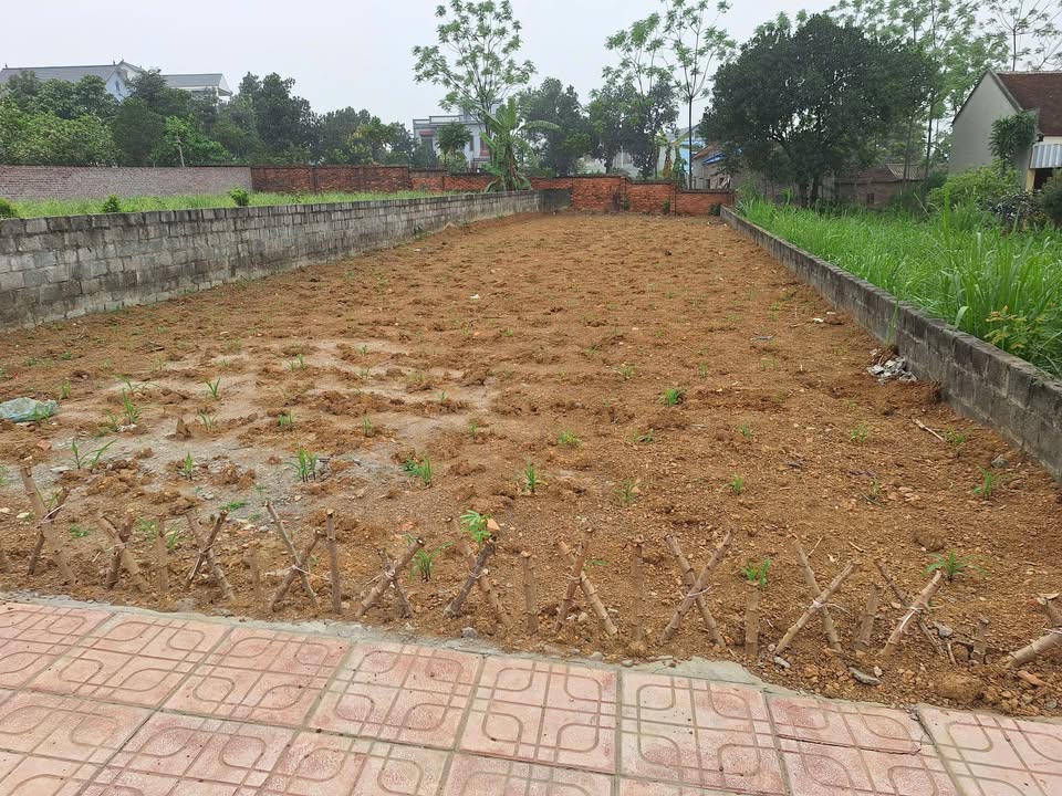 Đất thổ cư 302m² tại Phú Cát, Quốc Oai - Giá chỉ 4.53 tỷ VND, Sổ hồng chính chủ!