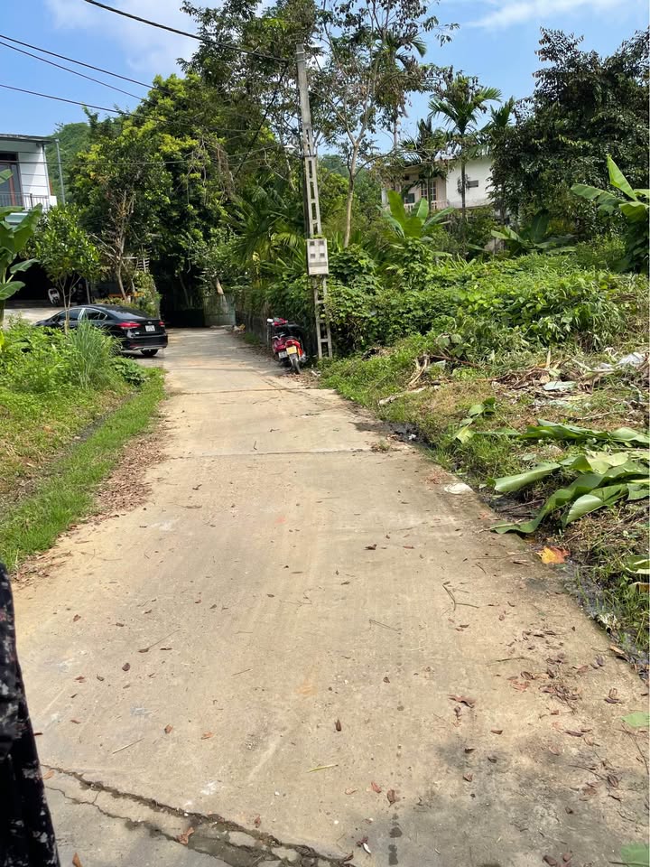 Lô đất đẹp Tổ 10, phường Nông Tiến, Tuyên Quang 120m² - Giá chỉ 800 triệu!