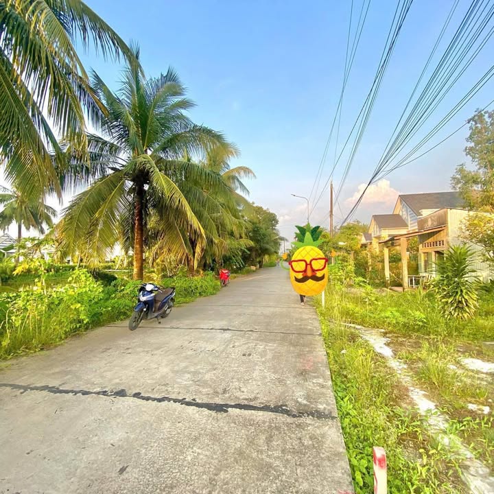 Đất nền Minh Lạc, Châu Thành, 135m² giá 400 triệu - Đầu tư sinh lời ngay!