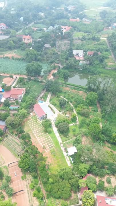 Nhà vườn đẹp tại xã Hy Cương, TP. Việt Trì 6064m² giá 17 tỷ - Đầu tư sinh lời hấp dẫn!