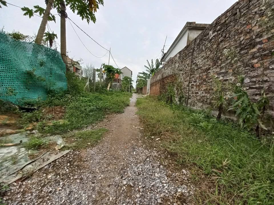 Đất nền Ninh Giang 293m² giá 4.688 tỷ - Cơ hội đầu tư giá rẻ!